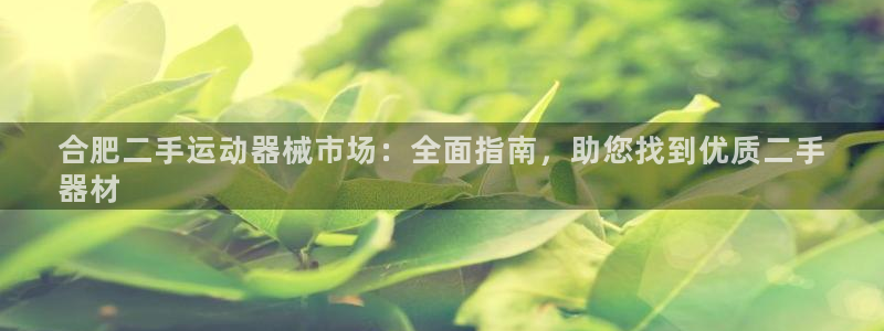 尊龙凯时白家乐Abb下载：合肥二手运动器械市场：全面