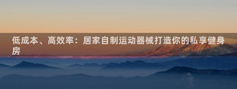 尊龙凯时官网：低成本、高效率：居家自制运动器械打造你