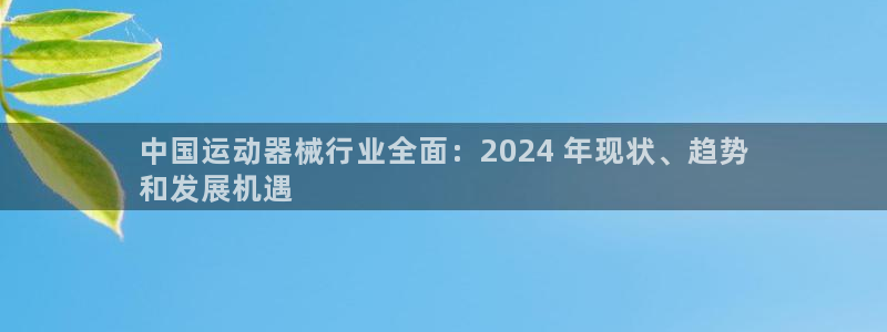 凯时平台登录：中国运动器械行业全面：2024 年现状