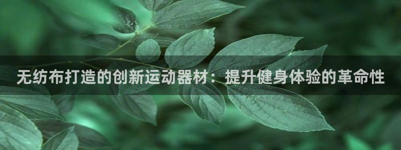 凯时网上官方网站：无纺布打造的创新运动器材：提升健身